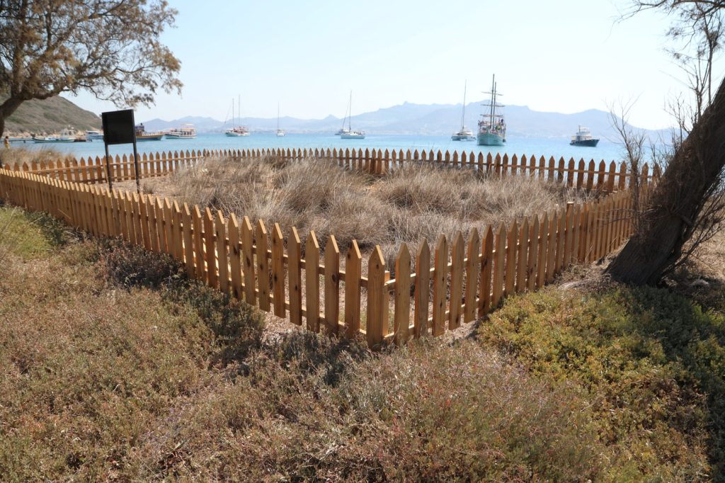 AWARENESS EVENT HELD TO PRESERVE SAND LILIES