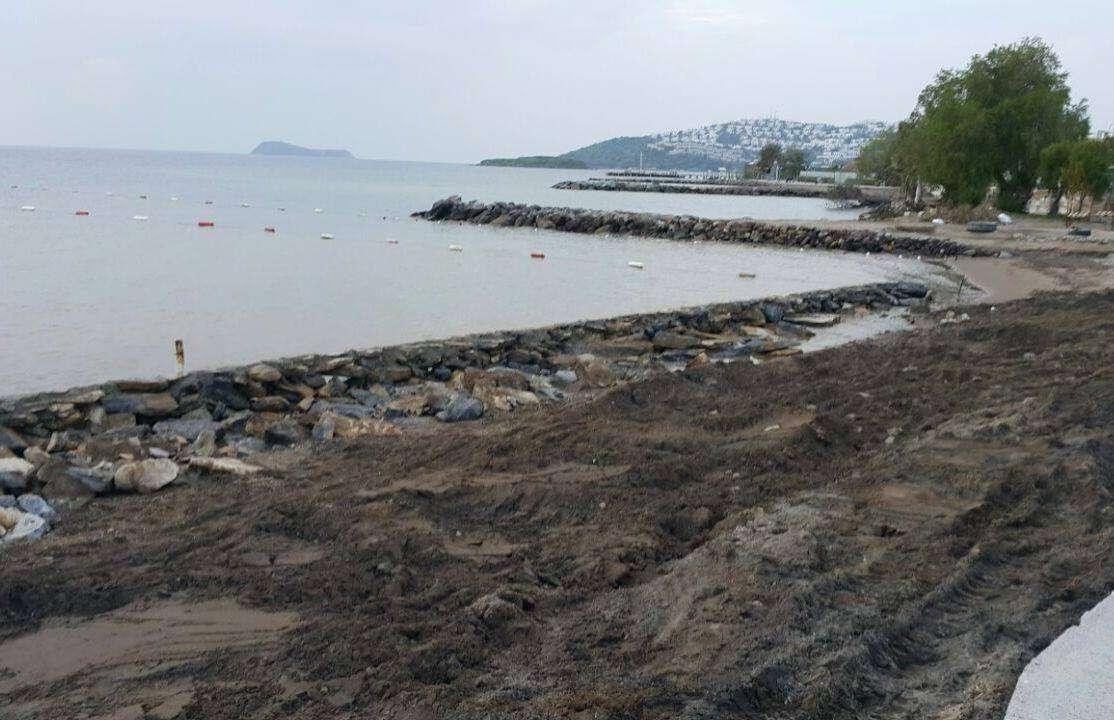 DEMOLITION OF THE UNAUTHORIZED STONE WALL