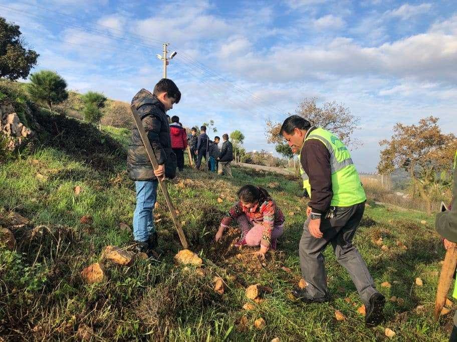 PLANTED 40 OLIVE SEEDLINGS IN MEMORY OF ADA UZ