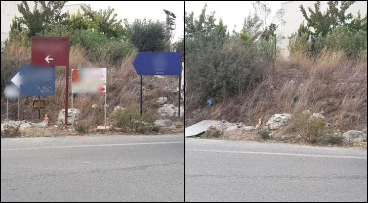 REMOVAL OF UNAUTHORIZED ADVERTISING SIGNS & DIRECTIONAL SIGNS