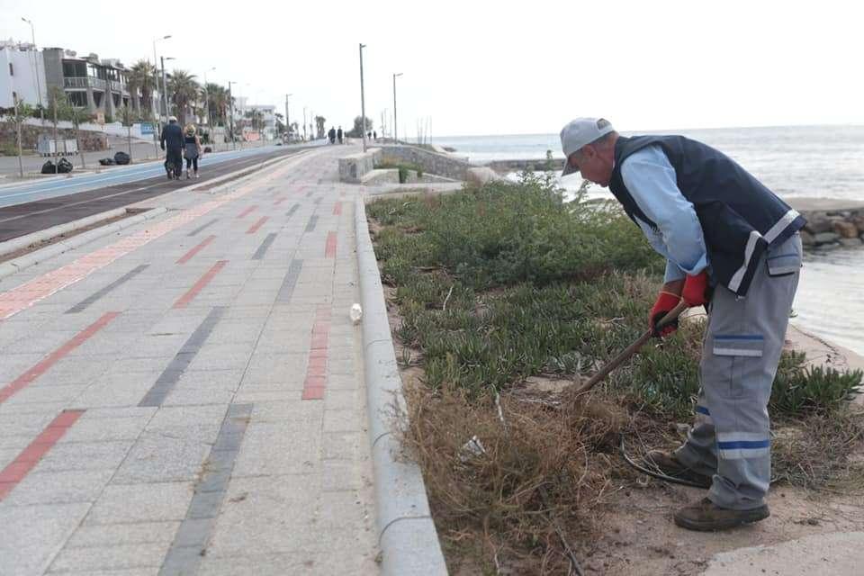 PRUNING & CLEANING WORKS ON GAZİ MUSTAFA KEMAL BOULEVARD IN TURGUTREİS NEIGHBORHOOD