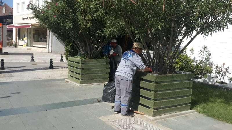 SPRING CLEANING ON PARKS, GREEN AREAS & SIDEWALKS