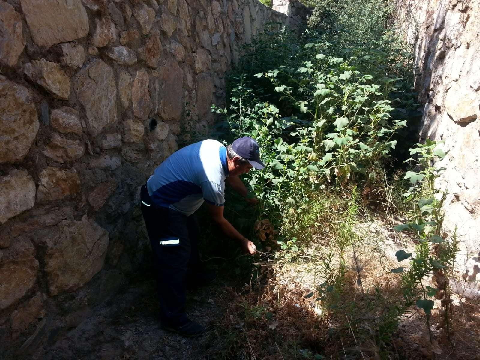 CLEANING OF STREAMS, CHANNELS & GRATES