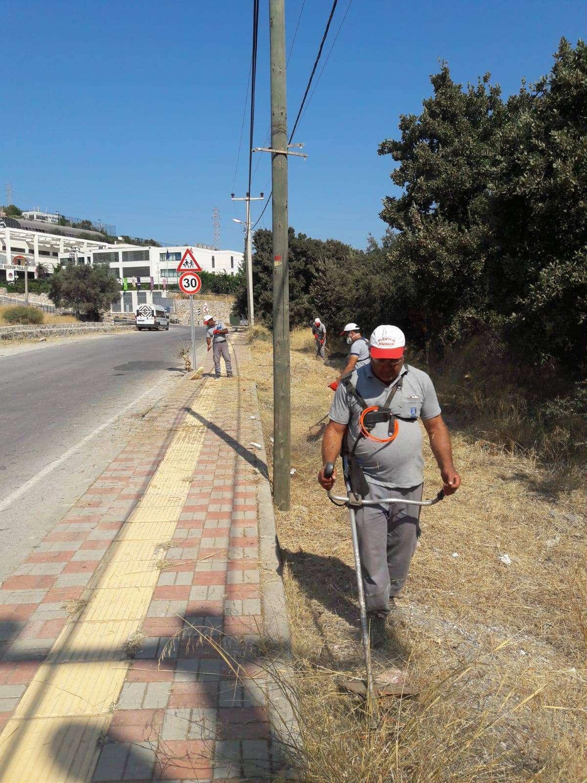 CLEANING, PRUNING & IRRIGATION WORKS ON ROAD EDGES & REFUGES IN ALL NEIGHBORHOODS