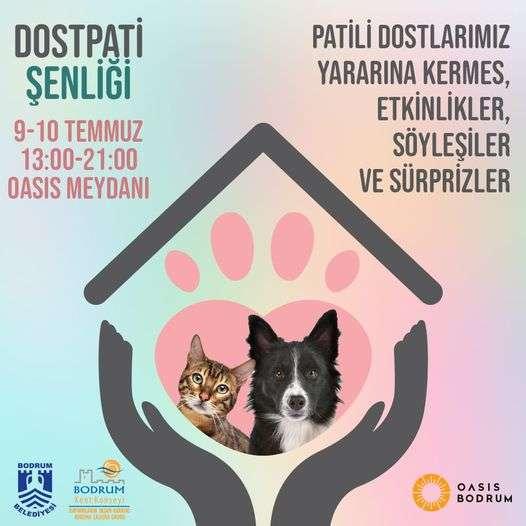 DOSTPATİ FESTIVAL HELD