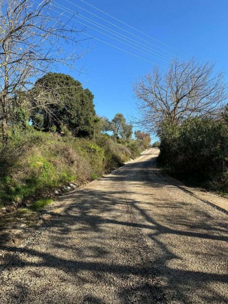 Chip Seal Works Completed on Kavakderesi Street in Dereköy Neighborhood