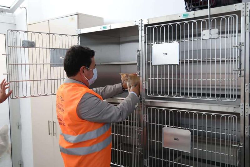 YALIKAVAK SPAYING AND NEUTERING CENTER IS NOW IN SERVICE