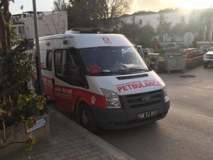 PETBULANCE IS IN SERVICE
