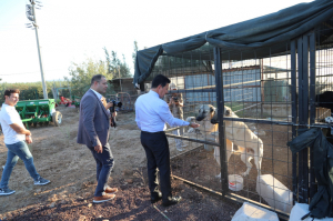 WE PRODUCE FOOD FOR STRAY ANIMALS