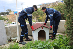 WE HAVE IMPLEMENTED THE 'LOVE ROOF' PROJECT FOR STRAY ANIMALS