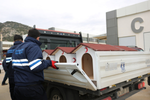 WE HAVE IMPLEMENTED THE 'LOVE ROOF' PROJECT FOR STRAY ANIMALS