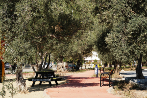 PEDASA LELEGIANS PARK WAS OPENED