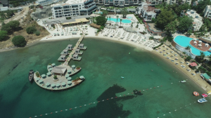 A LOOK FROM THE COAST PROJECT INITIATED