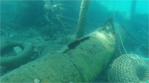 A LOOK FROM THE COAST PROJECT INITIATED