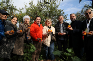 JUST A MANDARIN FESTIVAL 2023 ORGANIZED