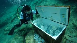 BLUE EXILE ART PROJECT UNDERWATER EXHIBITION OPENED