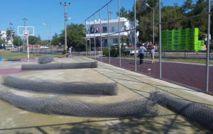 WE HAVE ORGANIZED AND MAINTAINED SPORTS AREAS