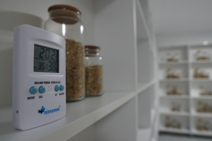 THE ANCESTRAL SEEDS RETURN PROJECT INITIATED