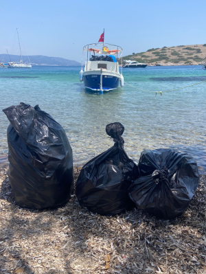CLEANING OPERATIONS ON ISLANDS & COVES