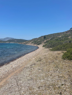 CLEANING OPERATIONS ON ISLANDS & COVES