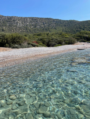 CLEANING OPERATIONS ON ISLANDS & COVES