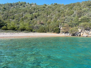 CLEANING OPERATIONS ON ISLANDS & COVES