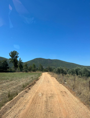 PINARLIBELEN NEIGHBORHOOD, BEYLIK OVASI LOCATION, CADASTRAL ROAD ORGANIZATION WORKS COMPLETED