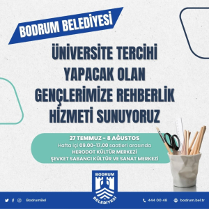 GUIDANCE SERVICES FOR YOUNG STUDENTS MAKING UNIVERSITY DECISIONS