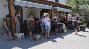 ROVING VETERINARY CLINIC CONDUCTS HEALTH CHECKS IN BITEZ