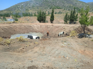 1,651 TONS OF WATER SUPPLEMENTATION PROVIDED TO PONDS