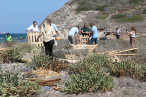 AWARENESS EVENT HELD TO PRESERVE SAND LILIES
