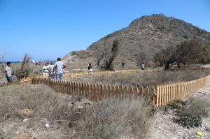 AWARENESS EVENT HELD TO PRESERVE SAND LILIES