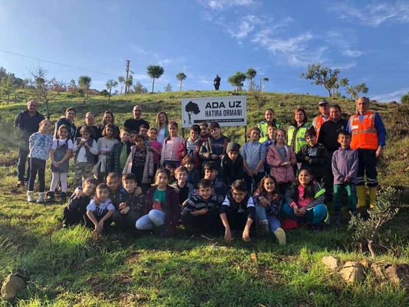 PLANTED 40 OLIVE SEEDLINGS IN MEMORY OF ADA UZ