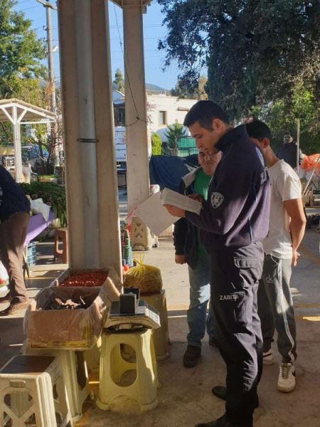 INSPECTION OF MEASURING & WEIGHING DEVICES IN MARKETPLACES