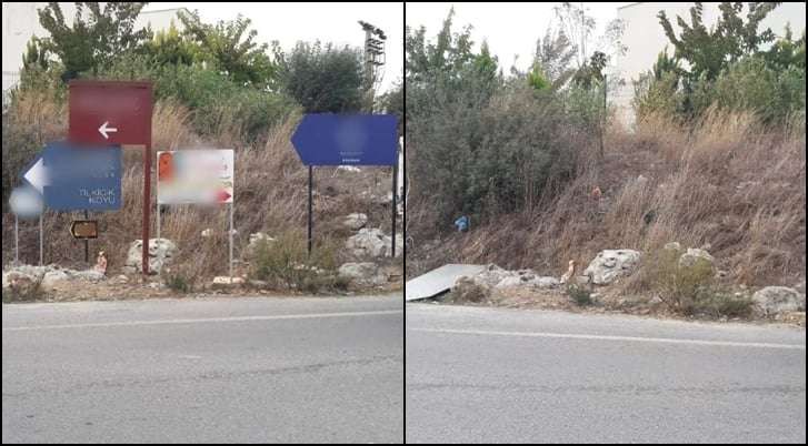 REMOVAL OF UNAUTHORIZED ADVERTISING SIGNS & DIRECTIONAL SIGNS