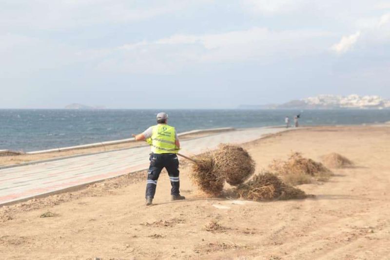 PRUNING & CLEANING WORKS ON GAZİ MUSTAFA KEMAL BOULEVARD IN TURGUTREİS NEIGHBORHOOD