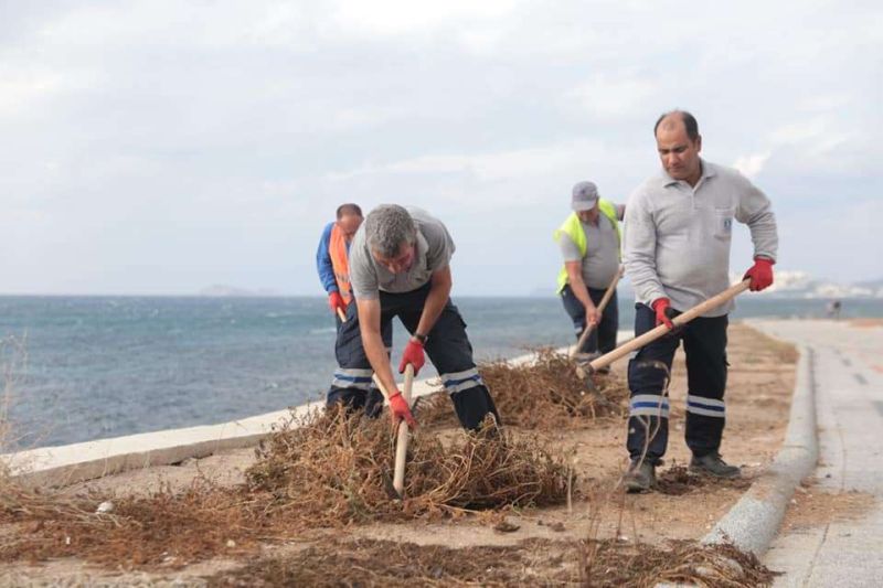 PRUNING & CLEANING WORKS ON GAZİ MUSTAFA KEMAL BOULEVARD IN TURGUTREİS NEIGHBORHOOD