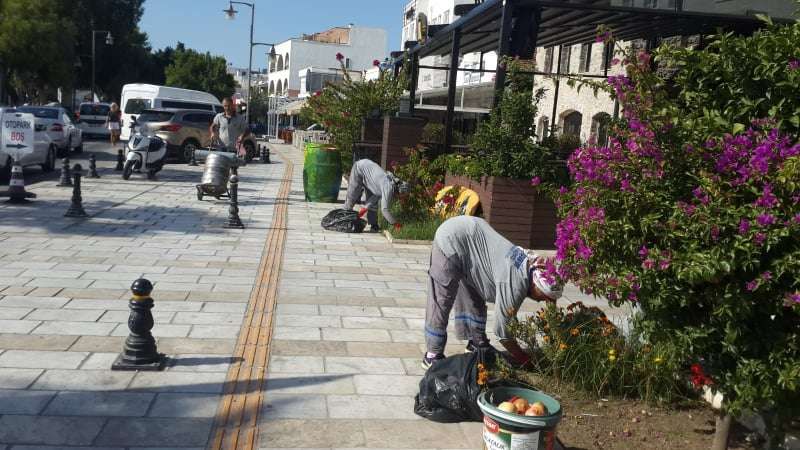 SPRING CLEANING ON PARKS, GREEN AREAS & SIDEWALKS
