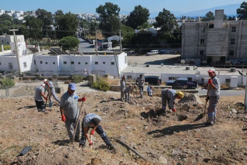 MEMORIAL FOREST CREATED IN AKYARLAR FENER BURNU