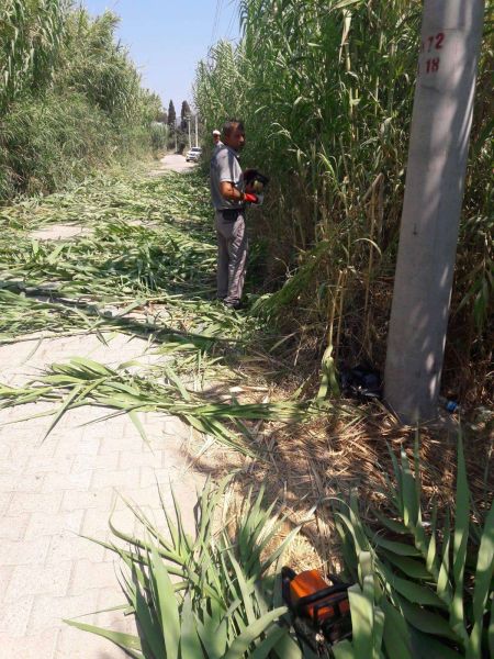 CLEANING, PRUNING & IRRIGATION WORKS ON ROAD EDGES & REFUGES IN ALL NEIGHBORHOODS