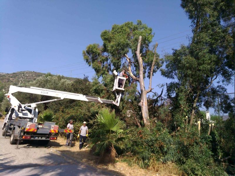 CLEANING, PRUNING & IRRIGATION WORKS ON ROAD EDGES & REFUGES IN ALL NEIGHBORHOODS