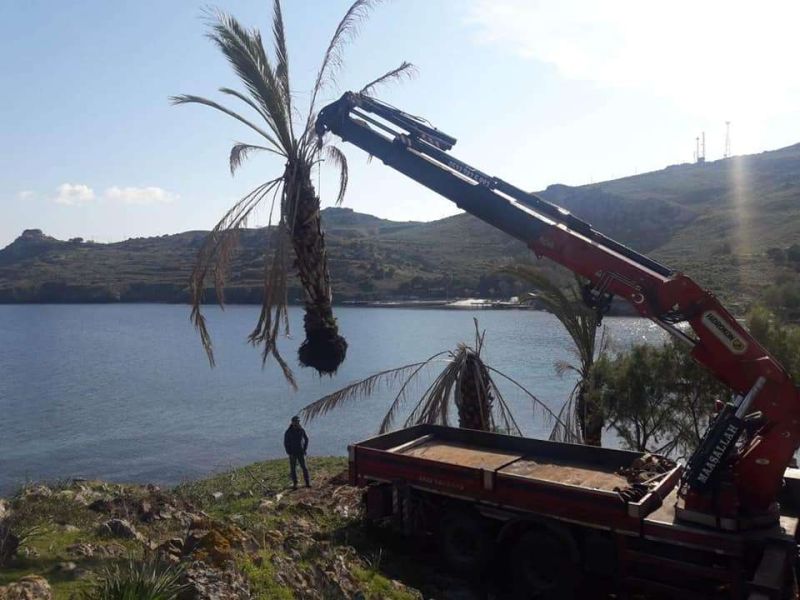 ILLEGAL STRUCTURES REMOVED FROM THE KÜDÜR PENINSULA