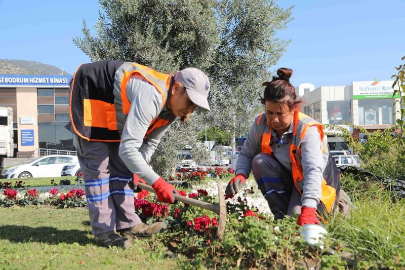 DECORATING OUR CITY WITH SEASONAL PLANTS AGAINST DROUGHT