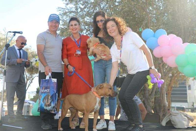 FESTIVAL FOR OUR ANIMAL FRIENDS