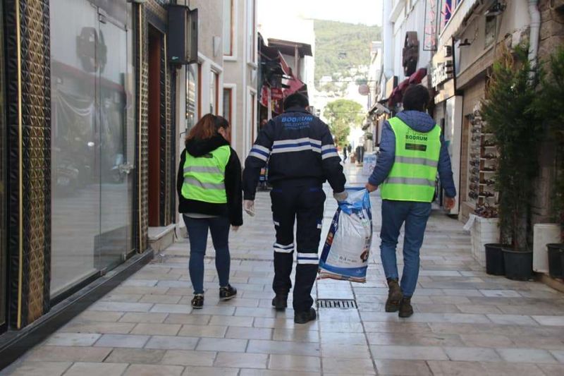 SUPPORTING STREET ANIMALS DURING THE PANDEMIC