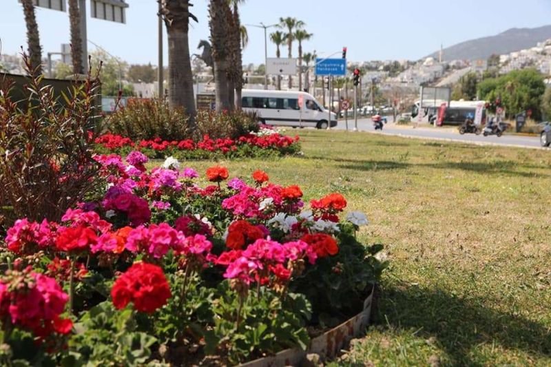 MAJOR INTERSECTION, REFUGE, GREEN AREA MAINTENANCE & ARRANGEMENT WORKS ON MAIN ARTERIES