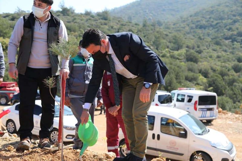 TREE PLANTING EVENT HELD AS PART OF WORLD HEALTH WEEK