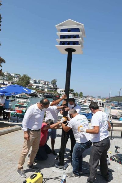 PIGEON NESTS INSTALLED