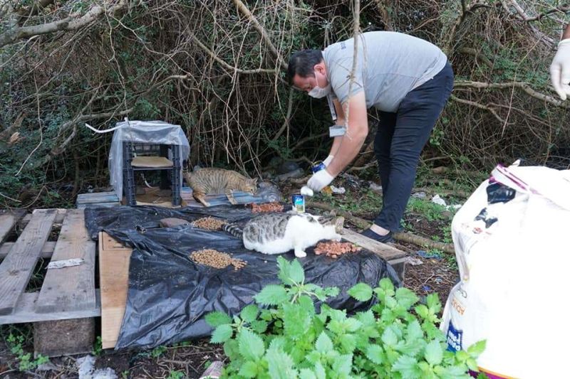 FOOD DISTRIBUTED TO OUR FURRY FRIENDS