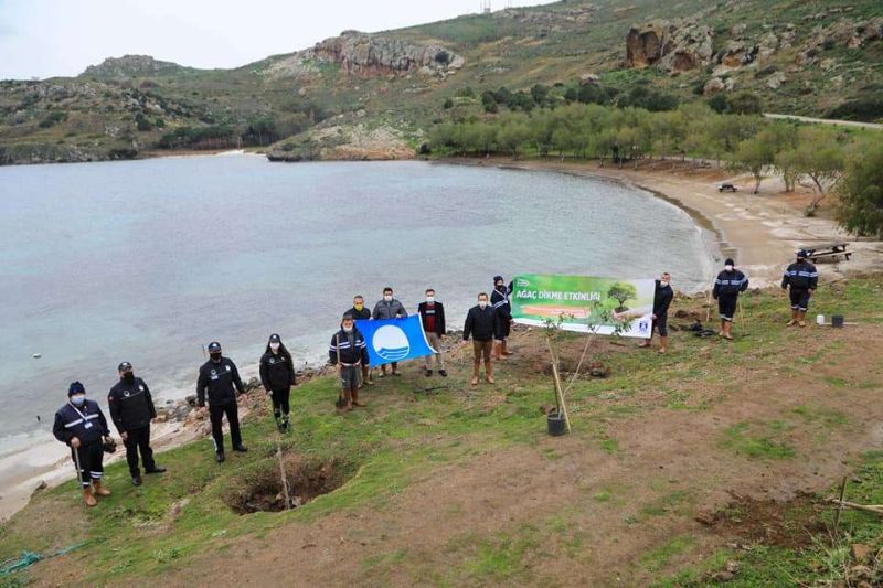 BEACH AFFORESTATION INITIATED